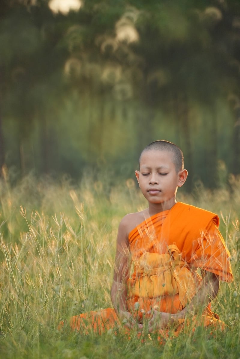 Wilderness Yoga