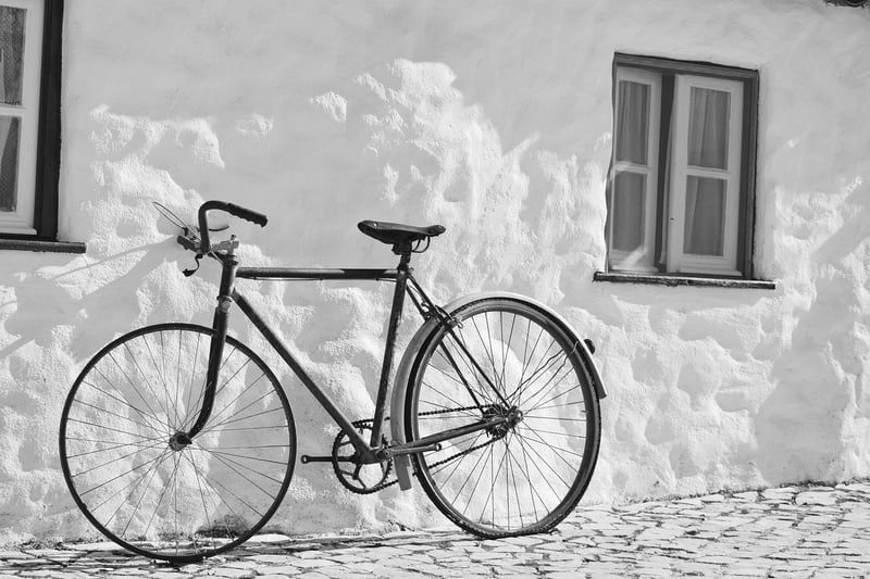 Mountain Biking in Nature